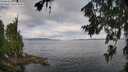 ./images/koeye/fitz-hugh/20260708/fitz-hugh20260708_093501M.jpg
