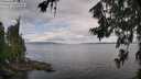 ./images/koeye/fitz-hugh/20260708/fitz-hugh20260708_094501M.jpg