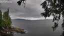 ./images/koeye/fitz-hugh/20260708/fitz-hugh20260708_104501M.jpg