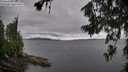 ./images/koeye/fitz-hugh/20260708/fitz-hugh20260708_110001M.jpg
