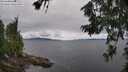 ./images/koeye/fitz-hugh/20260708/fitz-hugh20260708_113002M.jpg