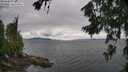 ./images/koeye/fitz-hugh/20260708/fitz-hugh20260708_113501M.jpg