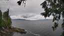 ./images/koeye/fitz-hugh/20260708/fitz-hugh20260708_114001M.jpg