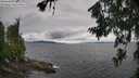 ./images/koeye/fitz-hugh/20260708/fitz-hugh20260708_114501M.jpg