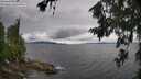 ./images/koeye/fitz-hugh/20260708/fitz-hugh20260708_115002M.jpg