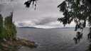 ./images/koeye/fitz-hugh/20260708/fitz-hugh20260708_115501M.jpg