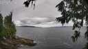 ./images/koeye/fitz-hugh/20260708/fitz-hugh20260708_121002M.jpg