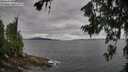 ./images/koeye/fitz-hugh/20260708/fitz-hugh20260708_131002M.jpg