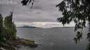 ./images/koeye/fitz-hugh/20260708/fitz-hugh20260708_133001M.jpg