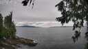 ./images/koeye/fitz-hugh/20260708/fitz-hugh20260708_133501M.jpg