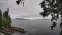 ./images/koeye/fitz-hugh/20260708/fitz-hugh20260708_134501M.jpg