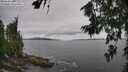 ./images/koeye/fitz-hugh/20260708/fitz-hugh20260708_135001M.jpg