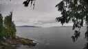 ./images/koeye/fitz-hugh/20260708/fitz-hugh20260708_135502M.jpg