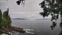 ./images/koeye/fitz-hugh/20260708/fitz-hugh20260708_140501M.jpg