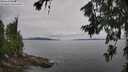 ./images/koeye/fitz-hugh/20260708/fitz-hugh20260708_141001M.jpg