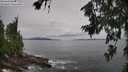 ./images/koeye/fitz-hugh/20260708/fitz-hugh20260708_142001M.jpg