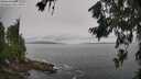 ./images/koeye/fitz-hugh/20260708/fitz-hugh20260708_145001M.jpg