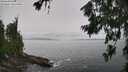 ./images/koeye/fitz-hugh/20260708/fitz-hugh20260708_145501M.jpg