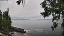 ./images/koeye/fitz-hugh/20260708/fitz-hugh20260708_150501M.jpg
