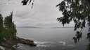 ./images/koeye/fitz-hugh/20260708/fitz-hugh20260708_151001M.jpg