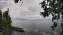 ./images/koeye/fitz-hugh/20260708/fitz-hugh20260708_151502M.jpg