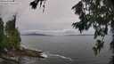 ./images/koeye/fitz-hugh/20260708/fitz-hugh20260708_153501M.jpg
