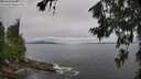 ./images/koeye/fitz-hugh/20260708/fitz-hugh20260708_154001M.jpg
