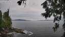./images/koeye/fitz-hugh/20260708/fitz-hugh20260708_155001M.jpg