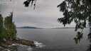 ./images/koeye/fitz-hugh/20260708/fitz-hugh20260708_155501M.jpg