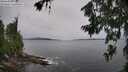./images/koeye/fitz-hugh/20260708/fitz-hugh20260708_162002M.jpg