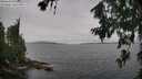 ./images/koeye/fitz-hugh/20260708/fitz-hugh20260708_164501M.jpg