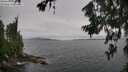 ./images/koeye/fitz-hugh/20260708/fitz-hugh20260708_165001M.jpg