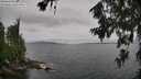 ./images/koeye/fitz-hugh/20260708/fitz-hugh20260708_165501M.jpg