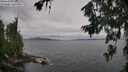 ./images/koeye/fitz-hugh/20260708/fitz-hugh20260708_170501M.jpg