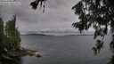 ./images/koeye/fitz-hugh/20260708/fitz-hugh20260708_171002M.jpg