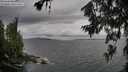 ./images/koeye/fitz-hugh/20260708/fitz-hugh20260708_172001M.jpg