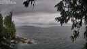 ./images/koeye/fitz-hugh/20260708/fitz-hugh20260708_172501M.jpg
