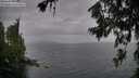 ./images/koeye/fitz-hugh/20260708/fitz-hugh20260708_183001M.jpg