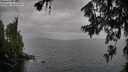 ./images/koeye/fitz-hugh/20260708/fitz-hugh20260708_184001M.jpg