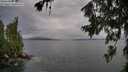 ./images/koeye/fitz-hugh/20260708/fitz-hugh20260708_195501M.jpg