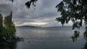 ./images/koeye/fitz-hugh/20260708/fitz-hugh20260708_205502M.jpg