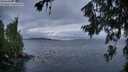 ./images/koeye/fitz-hugh/20260708/fitz-hugh20260708_211001M.jpg