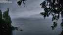 ./images/koeye/fitz-hugh/20260708/fitz-hugh20260708_215501M.jpg