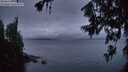 ./images/koeye/fitz-hugh/20260708/fitz-hugh20260708_221501M.jpg