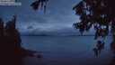 ./images/koeye/fitz-hugh/20260708/fitz-hugh20260708_223001M.jpg