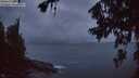 ./images/koeye/fitz-hugh/20260709/fitz-hugh20260709_044501M.jpg