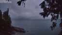 ./images/koeye/fitz-hugh/20260709/fitz-hugh20260709_045001M.jpg