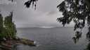 ./images/koeye/fitz-hugh/20260709/fitz-hugh20260709_060501M.jpg