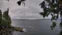 ./images/koeye/fitz-hugh/20260709/fitz-hugh20260709_064501M.jpg