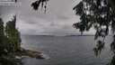 ./images/koeye/fitz-hugh/20260709/fitz-hugh20260709_065501M.jpg
